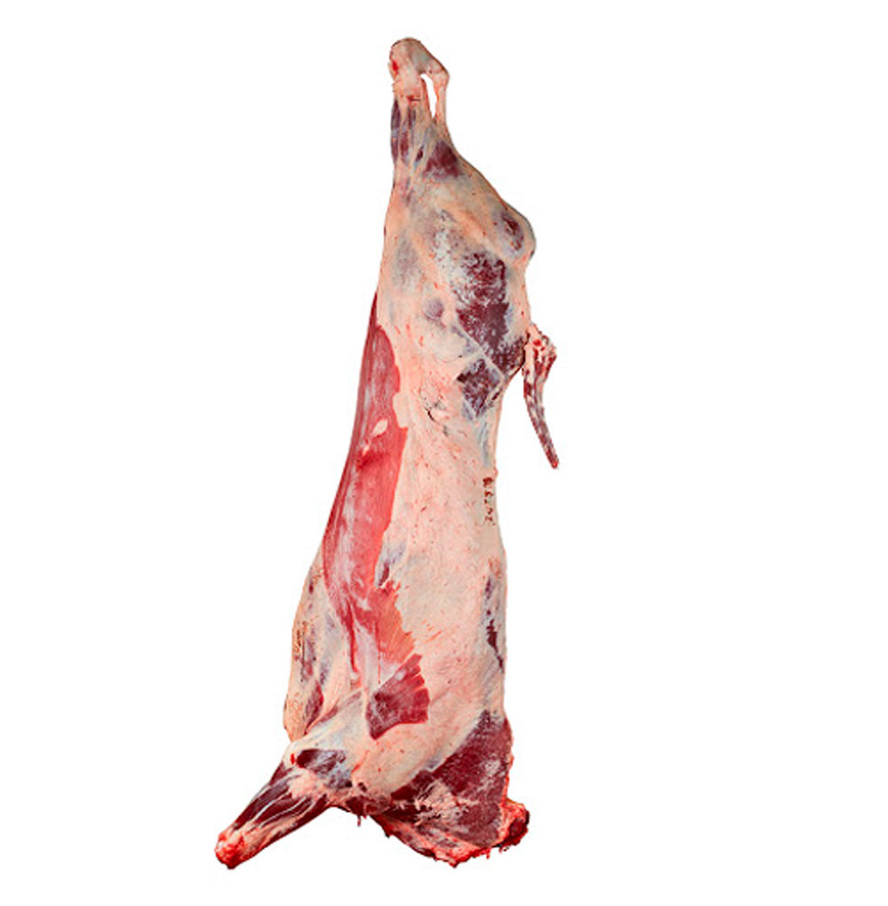 PALETA DE RES PARA INGRESAR FACTURA