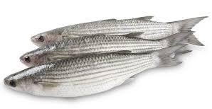 LISA FRESCA X KG PLANSUAREZ BANDEJA