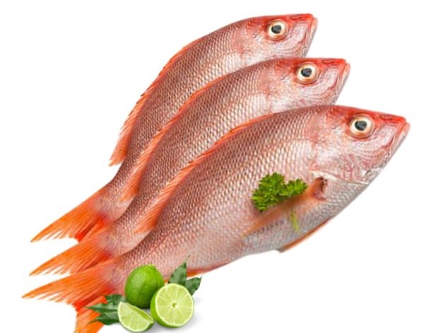 PARGO CUANAPO FRESCO X KG