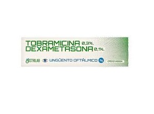 TOBRAMICINA DEXAMETASONA UNGUENTO 3G DISTRILAB