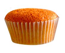 PONQUE XUND PLANSUAREZ