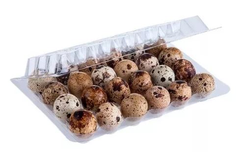 HUEVOS DE CODORNIZ X 24 UND