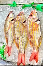 DORMILONA FRESCA X KG