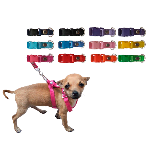 CORREA C/PECHERA MAXCOTAS