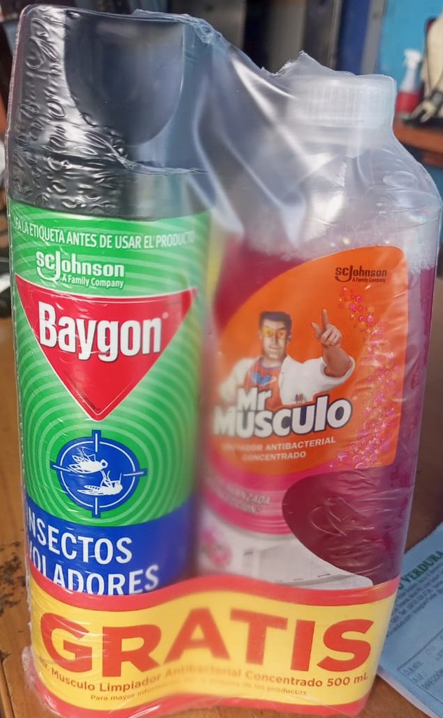 INSECTICIDA BAYGON 360CC ELIM/VOLADORES+ MR MUSCULO 500ML