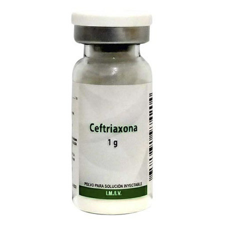 CEFTRIAXONA 1G X 1AMP I.M I.V EL MORRO