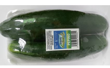 PEPINO PARADIS FRESH 450GR