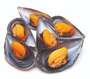 MEJILLON MEDIA CONCHA X KG