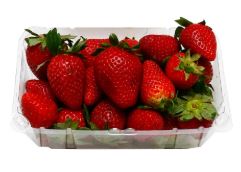 FRESAS X KG PLANSUAREZ