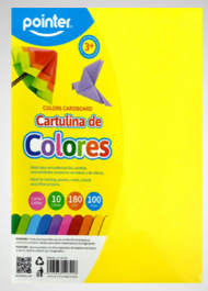 CARTULINA POINTER 100H CARTA 10 COLORES