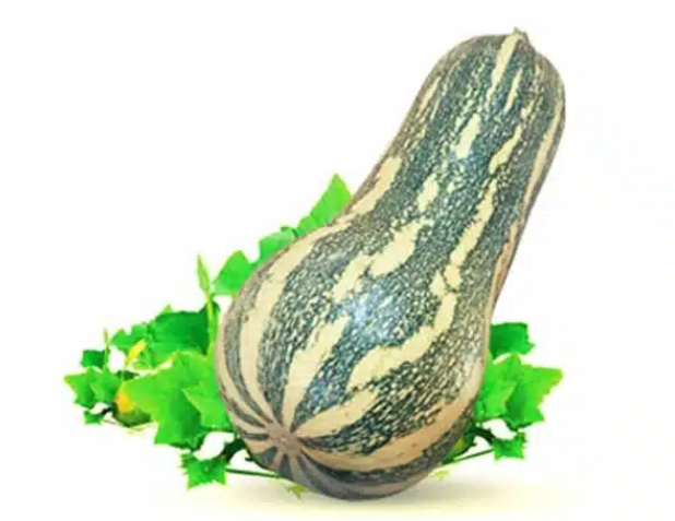 AUYAMA BARBARITAX KG