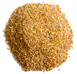 MEZCLA DE ALPISTE P/PERICOS X KG