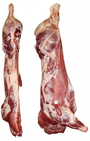 RES EN CANAL (SOLO PARA INGRESAR FACTURA