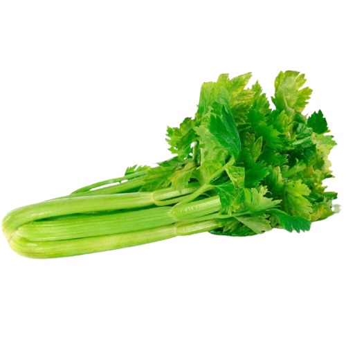 CELERY X KG