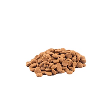 ALIMENTO PERRO X KG PLANSUAREZ