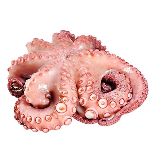 PULPO FRESCO X KG