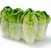 COGOLLOS DE TUDELA BANDEJA 3UND