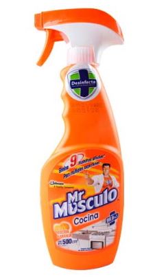 DESENGRASANTE MR MUSCULO 500ML NARAN GAT