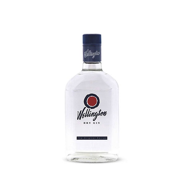 GINEBRA WELLINGTON 0.75LT