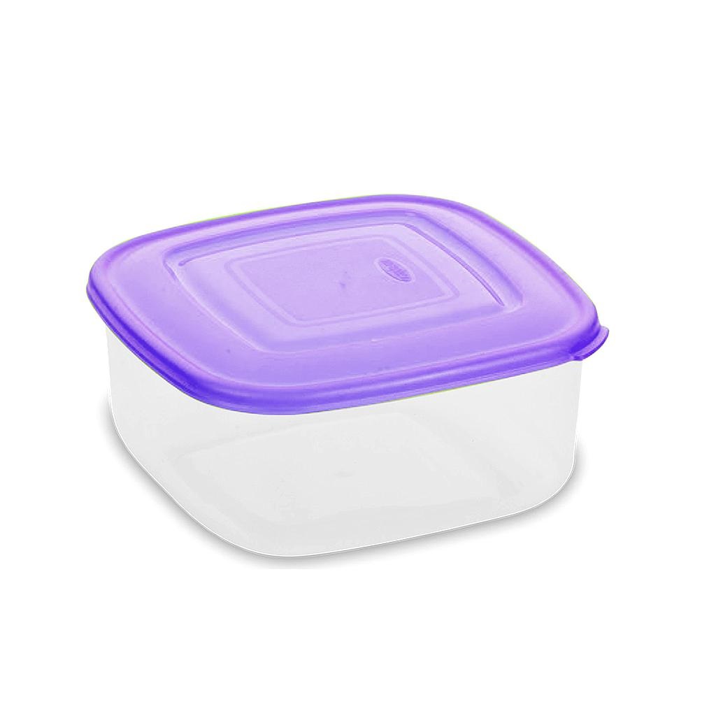 CONSERVADOR CUADRADO PEQ MANAPLAS 8040-0