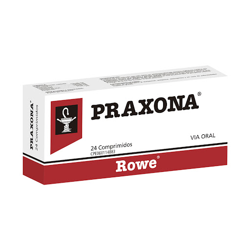 PRAXONA X 24 TABL ROWE
