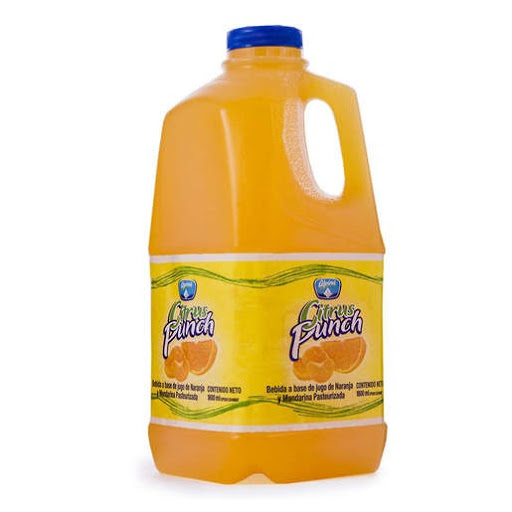 JUGO FRUTO 1.8LT CITRUS PUNCH