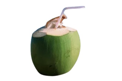 COCO DE AGUA PLANSUAREZ