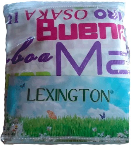 JUEGO SABANA NEW LEXINTON MAT 160 H