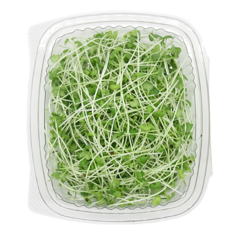 MOSTAZA MICROGREEN ARAUAK 25GR