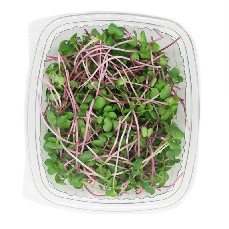 RABANO MICROGREEN ARAUAK 25GR