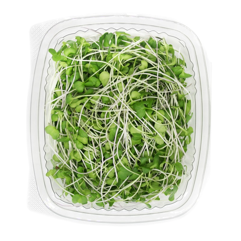 BROCOLI MICROGREEN ARAUAK 25GR