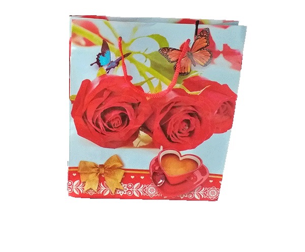 BOLSAS D/REGALO NO. 4 ADULTOS