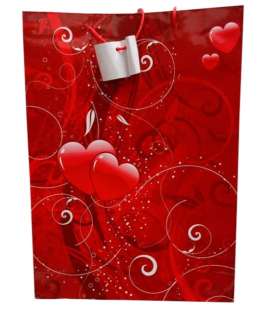 BOLSAS D/REGALO 27X33 ADULTOS